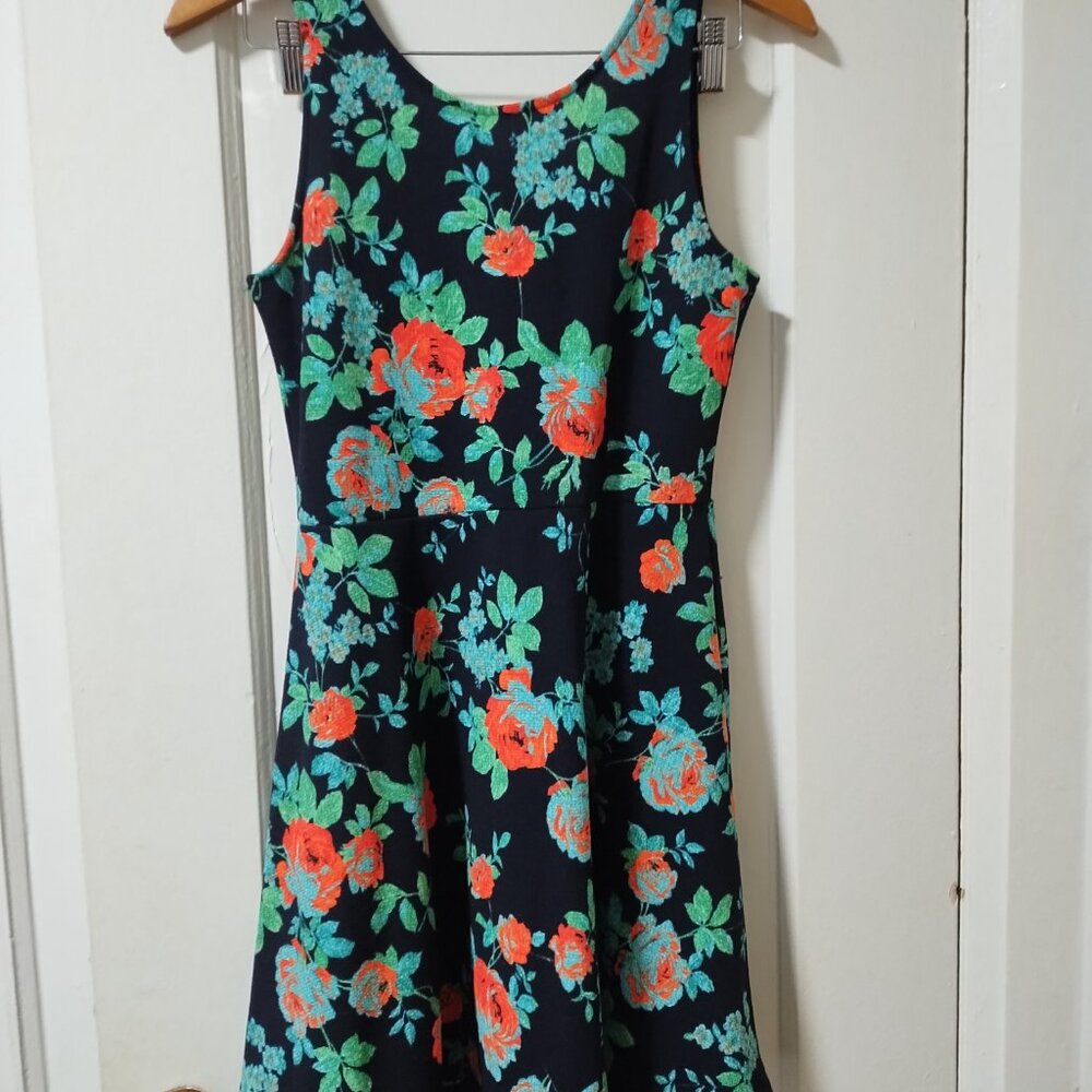 3/$20 Ginger sleeveless summer dress medium